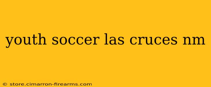 youth soccer las cruces nm